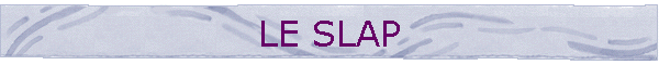LE SLAP